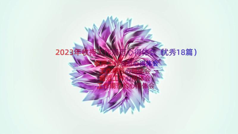 2023年收押工作规范心得体会（优秀18篇）