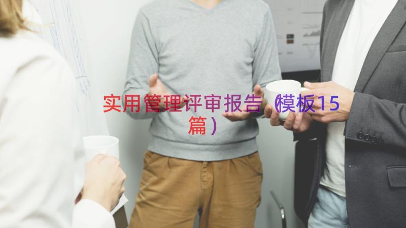 实用管理评审报告（模板15篇）