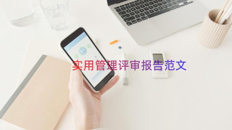 实用管理评审报告范文（14篇）