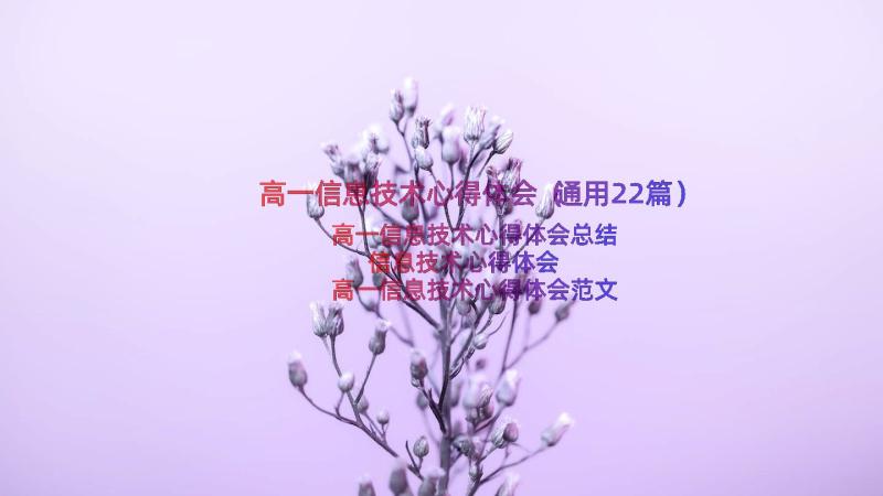 高一信息技术心得体会（通用22篇）