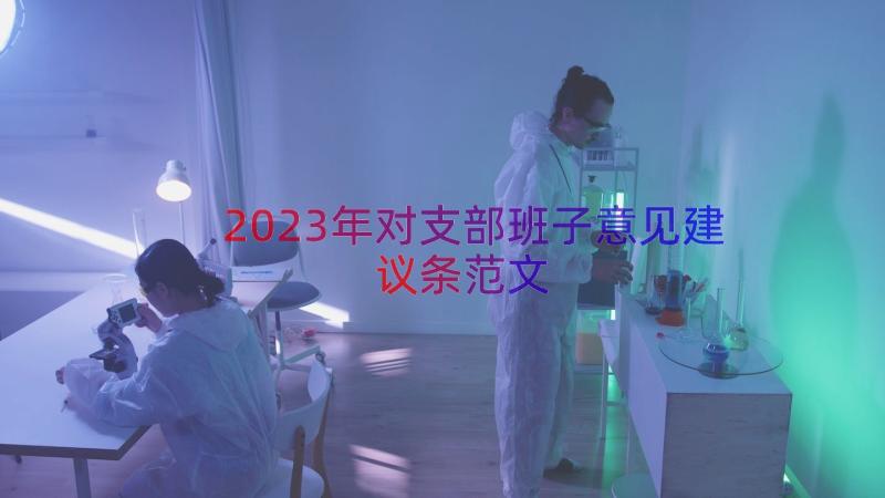 2023年对支部班子意见建议条范文（15篇）