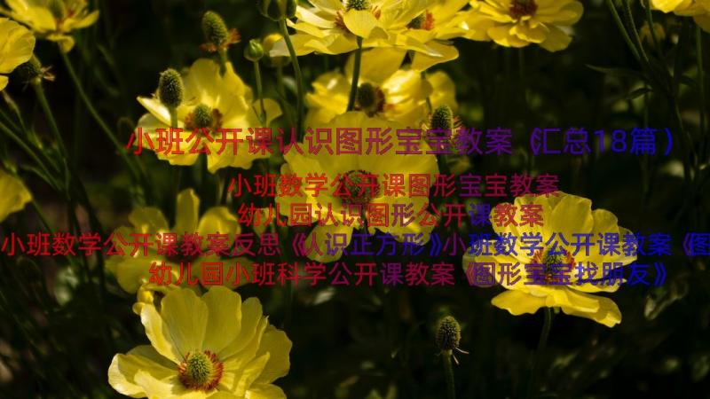 小班公开课认识图形宝宝教案（汇总18篇）