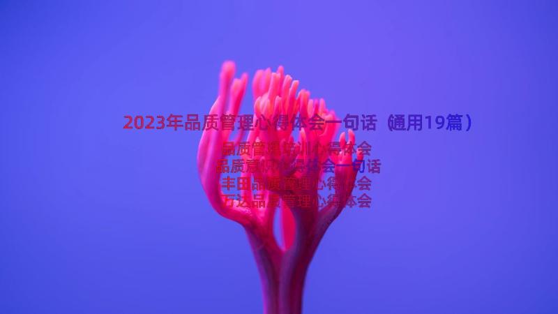 2023年品质管理心得体会一句话（通用19篇）