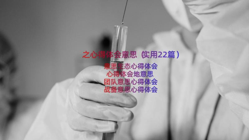 之心得体会意思（实用22篇）