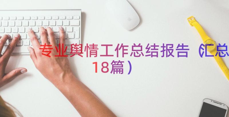 专业舆情工作总结报告（汇总18篇）