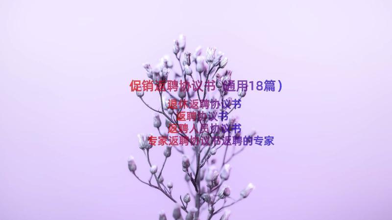 促销返聘协议书（通用18篇）