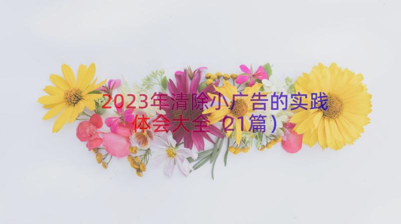 2023年清除小广告的实践体会大全（21篇）