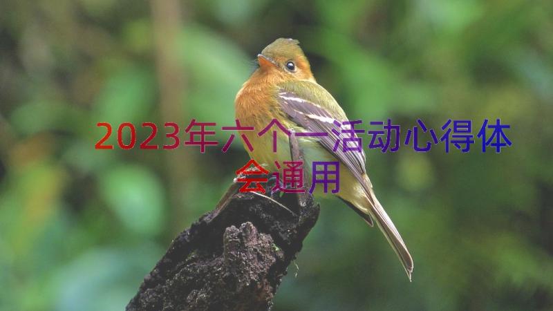 2023年六个一活动心得体会（通用12篇）