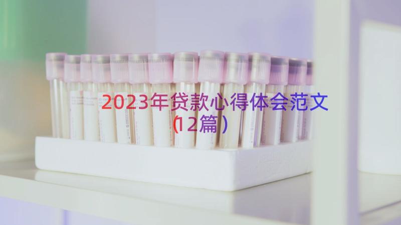 2023年贷款心得体会范文（12篇）