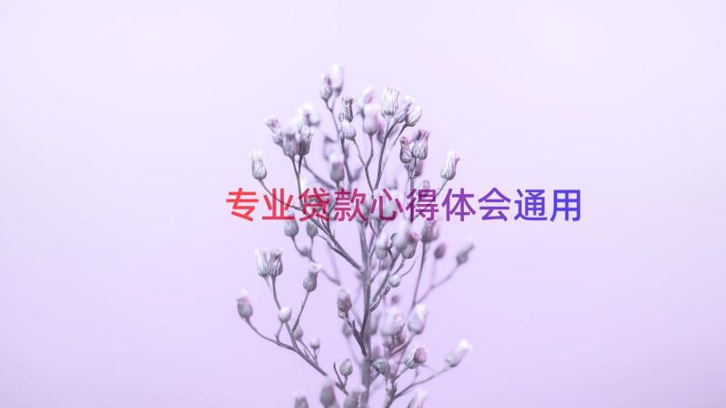 专业贷款心得体会（通用16篇）