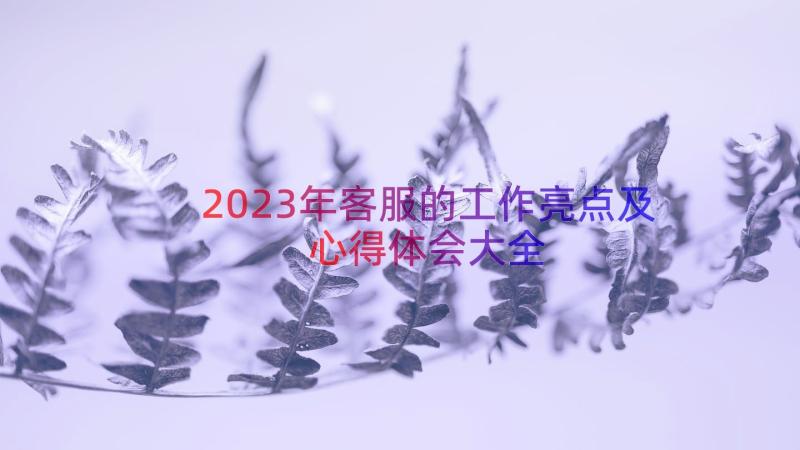 2023年客服的工作亮点及心得体会大全（13篇）