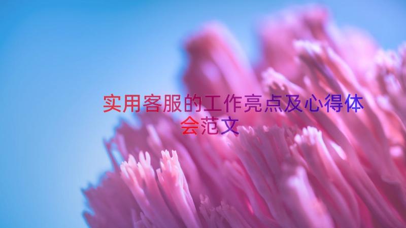 实用客服的工作亮点及心得体会范文（14篇）