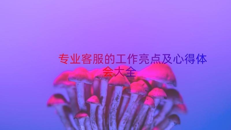 专业客服的工作亮点及心得体会大全（13篇）