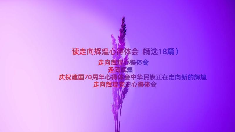 读走向辉煌心得体会（精选18篇）