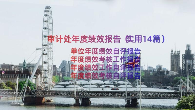 审计处年度绩效报告（实用14篇）