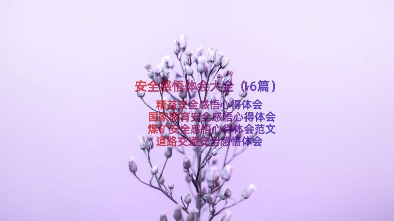 安全感悟体会大全（16篇）