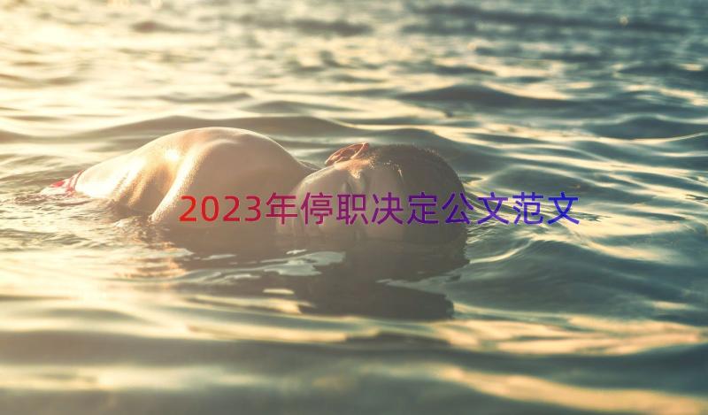 2023年停职决定公文范文（14篇）