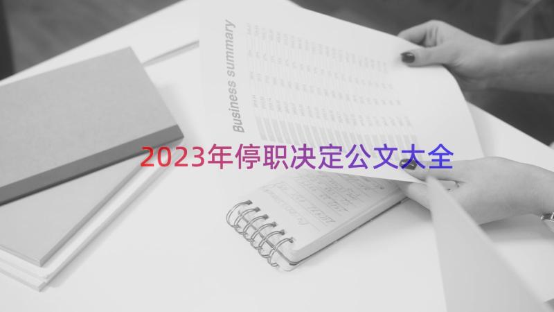 2023年停职决定公文大全（15篇）