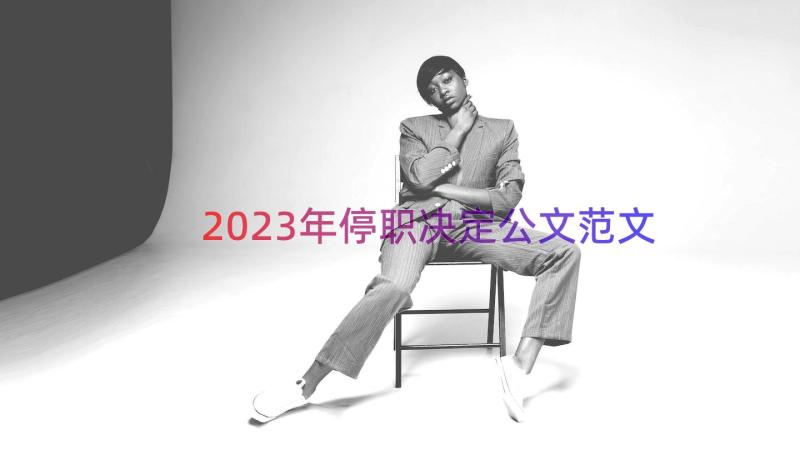 2023年停职决定公文范文（16篇）