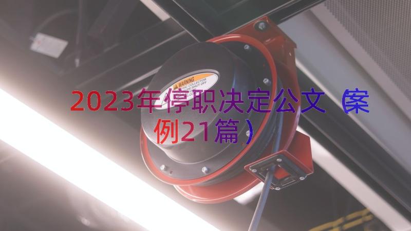 2023年停职决定公文（案例21篇）