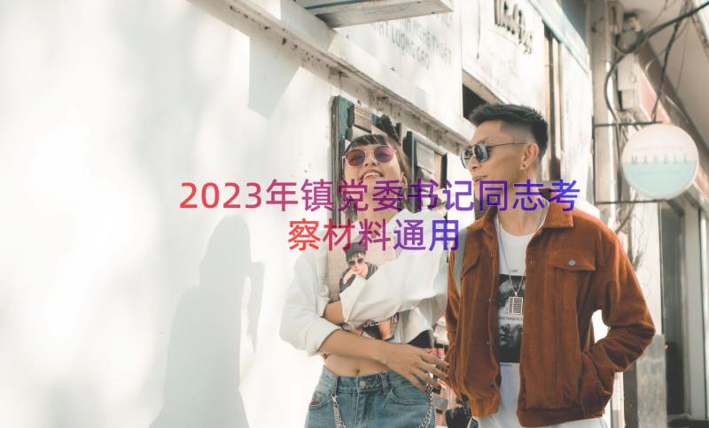 2023年镇党委书记同志考察材料（通用16篇）