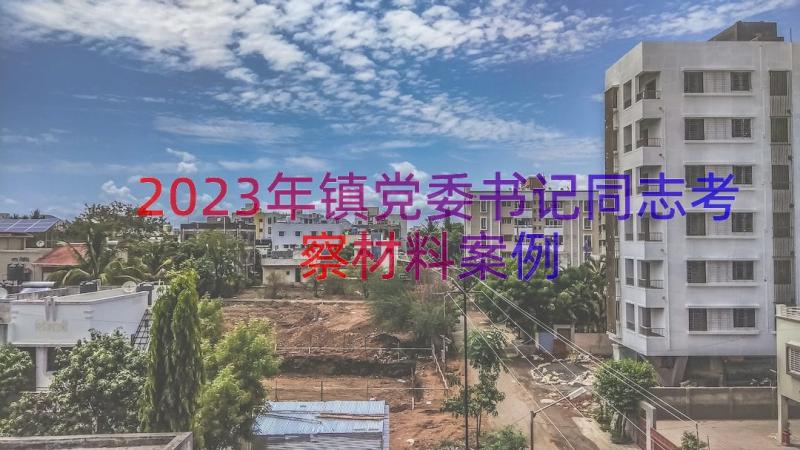 2023年镇党委书记同志考察材料（案例16篇）