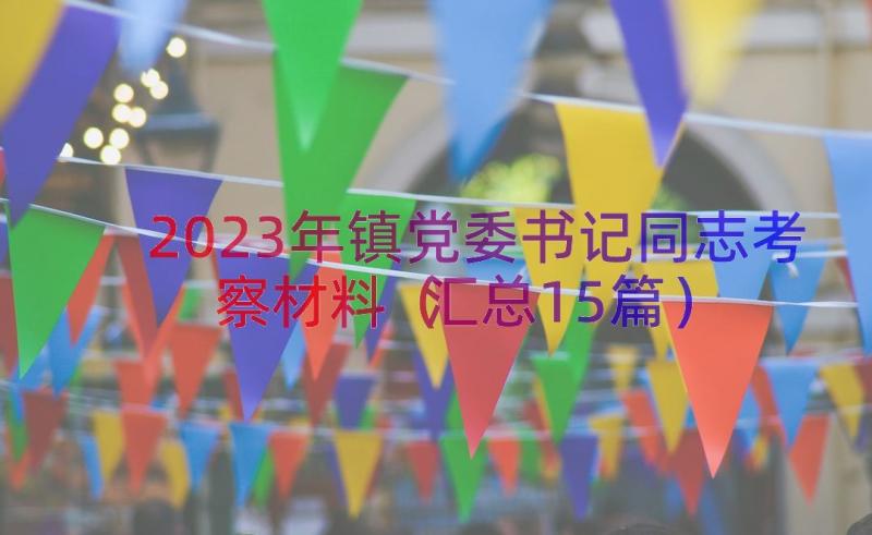 2023年镇党委书记同志考察材料（汇总15篇）