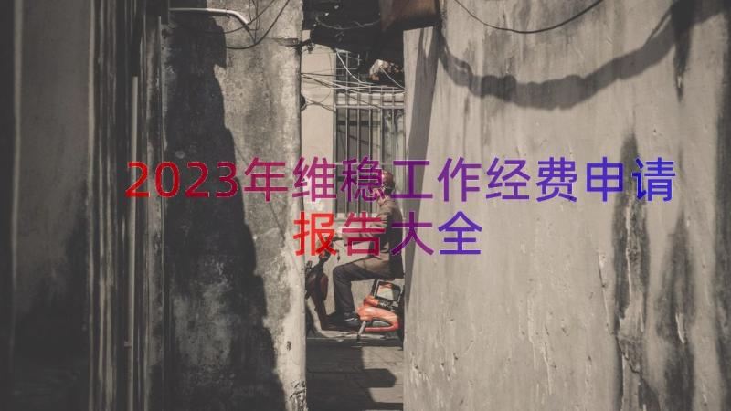 2023年维稳工作经费申请报告大全（13篇）