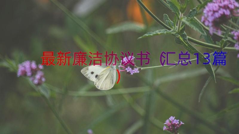 最新廉洁协议书（汇总13篇）