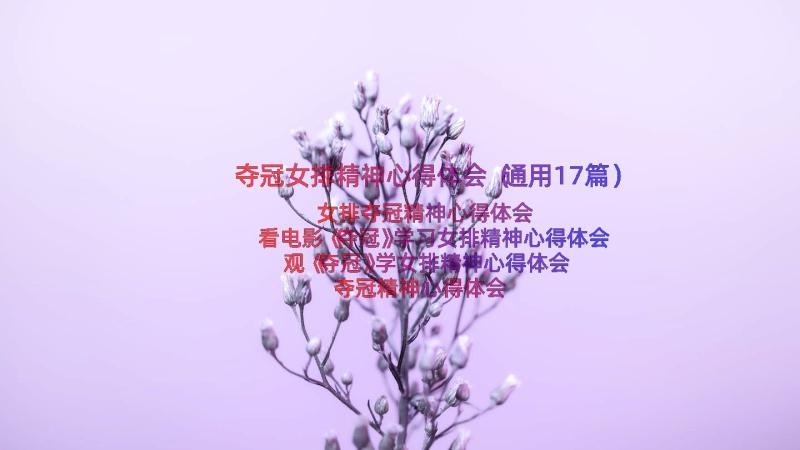 夺冠女排精神心得体会（通用17篇）