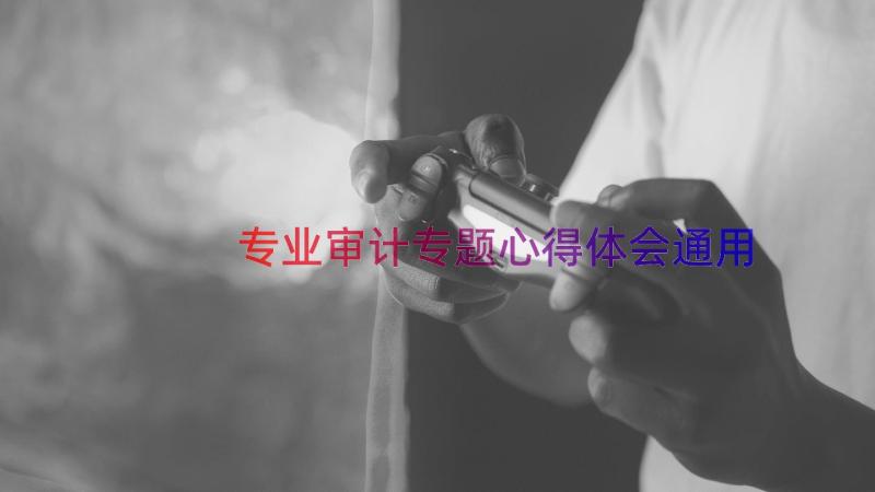 专业审计专题心得体会（通用16篇）