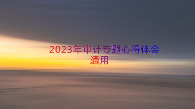 2023年审计专题心得体会（通用18篇）