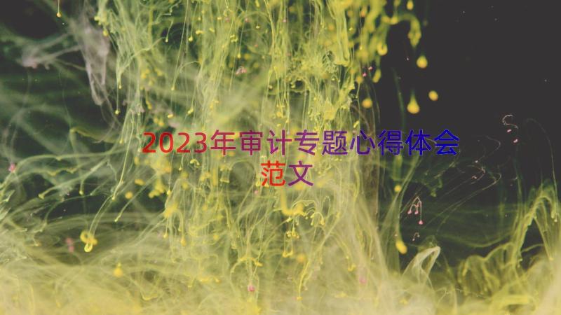 2023年审计专题心得体会范文（16篇）