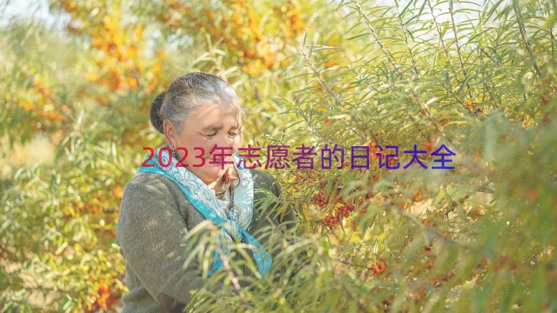 2023年志愿者的日记大全（14篇）