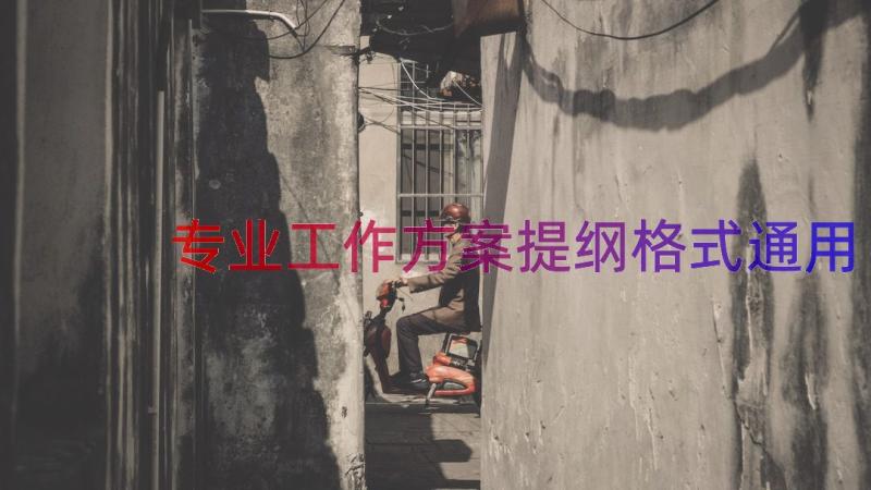 专业工作方案提纲格式（通用16篇）