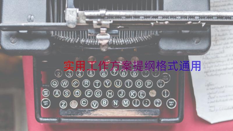 实用工作方案提纲格式（通用18篇）