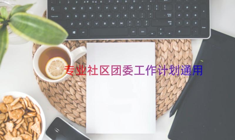 专业社区团委工作计划（通用18篇）