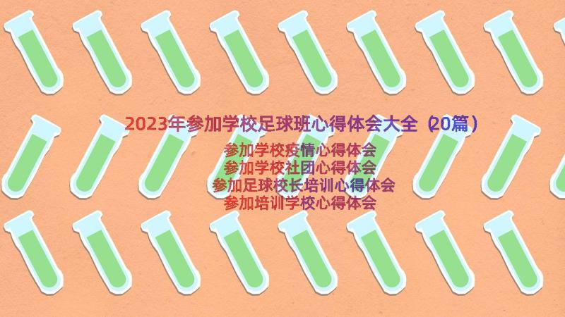 2023年参加学校足球班心得体会大全（20篇）