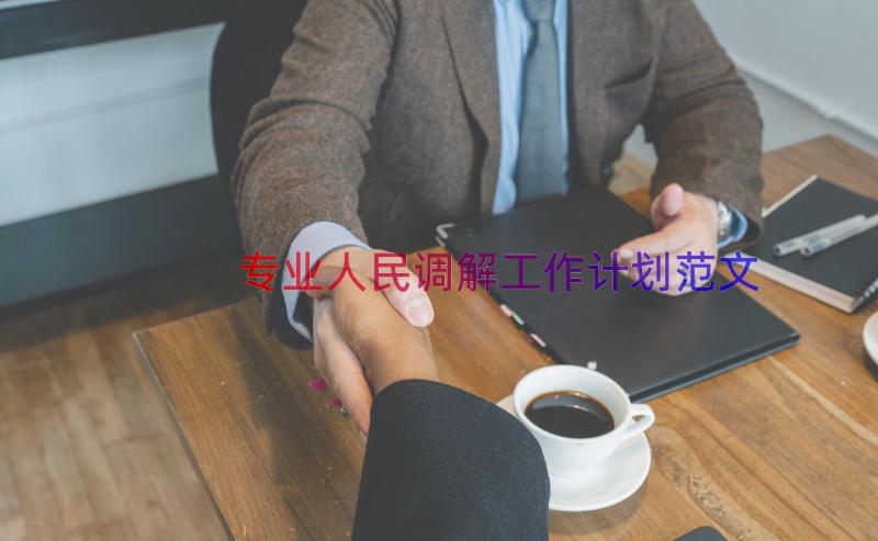 专业人民调解工作计划范文（17篇）