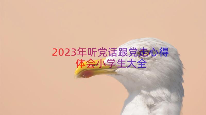 2023年听党话跟党走心得体会小学生大全（15篇）