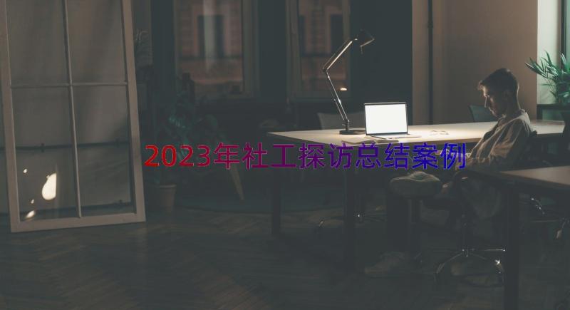 2023年社工探访总结（案例16篇）