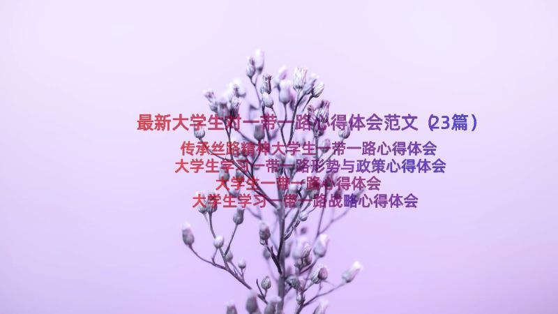 最新大学生对一带一路心得体会范文（23篇）