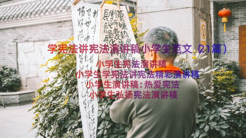 学宪法讲宪法演讲稿小学生范文（21篇）