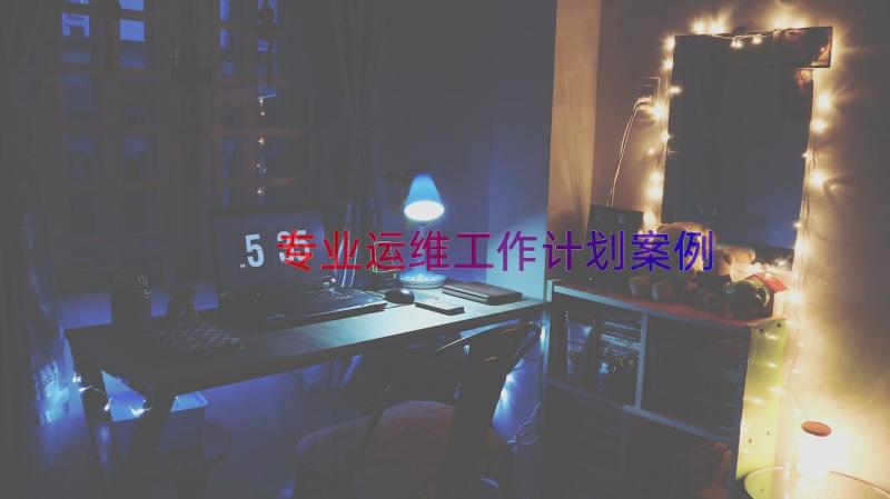 专业运维工作计划（案例17篇）