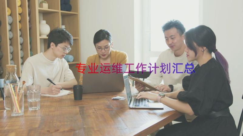 专业运维工作计划（汇总17篇）