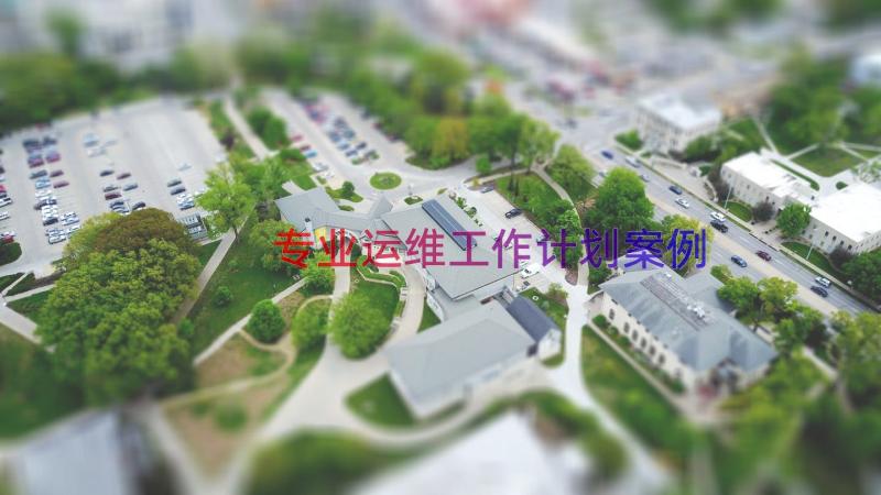 专业运维工作计划（案例14篇）