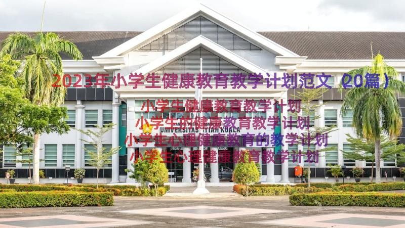 2023年小学生健康教育教学计划范文（20篇）