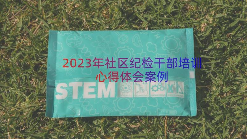 2023年社区纪检干部培训心得体会（案例18篇）