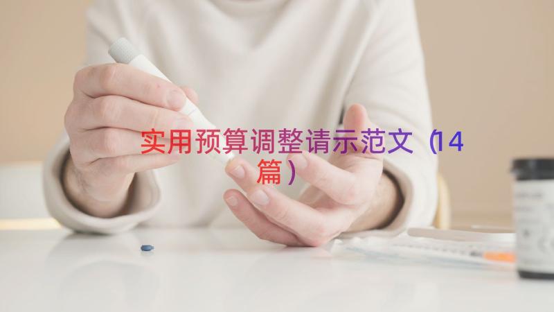 实用预算调整请示范文（14篇）