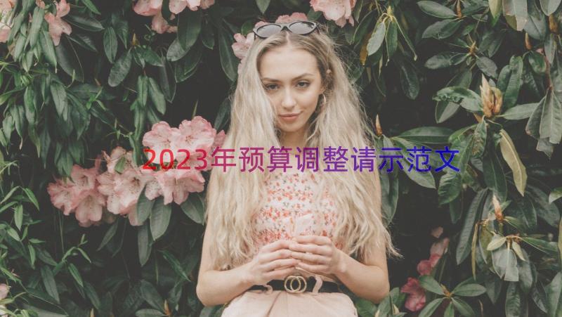 2023年预算调整请示范文（18篇）